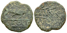 Murtilis. As. 120-50 a.C. Mértola (Portugal). (Abh-1761). Anv.: Atún a derecha, debajo entre líneas L A DE C (R). Rev.: Espiga a derecha, encima A inv...