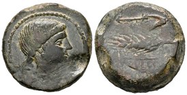 Obulco. As. 220-20 a.C. Anv.: Cabeza femenina a derecha. Rev.: Arado y espiga, debajo en cartela OBVLCO. 29,54 g. Rara. Est...175,00.