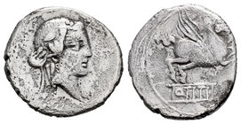 Titius. Denario. 90 a.C. Central Italy. (Ffc-1143). (Craw-314/2). (Cal-1302). Anv.: Cabeza de Baco a derecha. Rev.: Pegaso a derecha, debajo Q TITI. A...