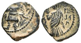 REINO NABATEO. Aretas IV con Shaqilath I. Ae15. 16 a.C. Petra. A/ Aretas en pie a izquierda sosteniendo lanza y apoyando su mano en la vaina de la esp...