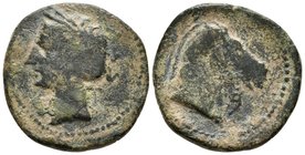 CARTAGONOVA. Calco. 220-215 a.C. Cartagena (Murcia). A/ Cabeza de Tanit a izquierda. R/ Cabeza de caballo a derecha, delante letra fenicia Bet. FAB-51...