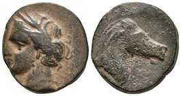 CARTAGONOVA. Calco. 220-215 a.C. Cartagena (Murcia). A/ Cabeza de Tanit a izquierda. R/ Cabeza de caballo a derecha. FAB-514. Ae. 10,69g. MBC/BC.