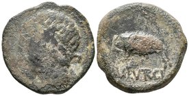 ILITURGI. As. 50 a.C. Mengíbar (Jaén). A/ Cabeza masculina con diadema a izquierda. R/ Jinete con palma a izquierda, debajo ILVTVRGI. FAB-1558. Ae. 15...