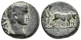 AUGUSTO. Ae17. 27 a.C. - 14 d.C. Macedonia, ¿Philippi?. A/ Cabeza a derecha, detrás AVG. R/ Dos fundadores guían una yunta de bueyes a la derecha, ara...