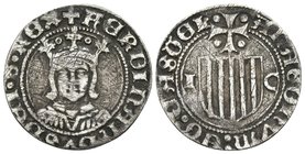 FERNANDO EL CATOLICO. 1/2 Real. (1479-1516). Zaragoza. Cru.V.S. 1305; Cru.C.G. 3205. Ar. 1,47g. Múltiples rayas por limpieza. MBC-.