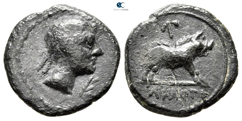 Iberia. Castulo 200-150 BC. 
Bronze Æ

18 mm., 2,83 g.



very fine
