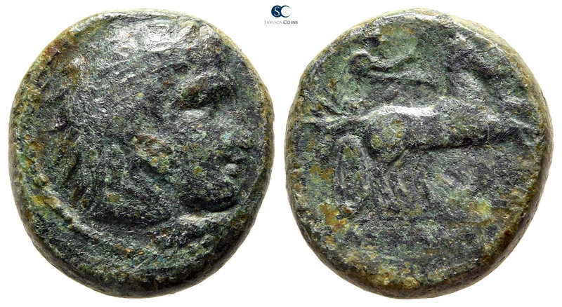Kings of Macedon. Uncertain mint. Kassander 306-297 BC. 
Bronze Æ

18 mm., 7,...