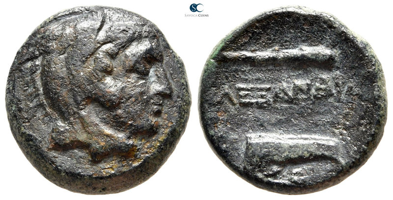 Kings of Macedon. Alexander III "the Great" 336-323 BC. 
Bronze Æ

19 mm., 5,...