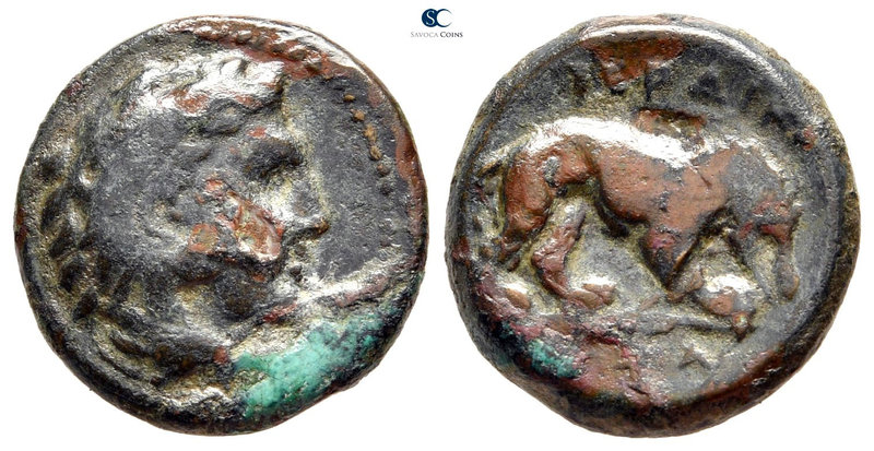 Kings of Macedon. Uncertain mint. Perdikkas III 365-359 BC. 
Bronze Æ

16 mm....