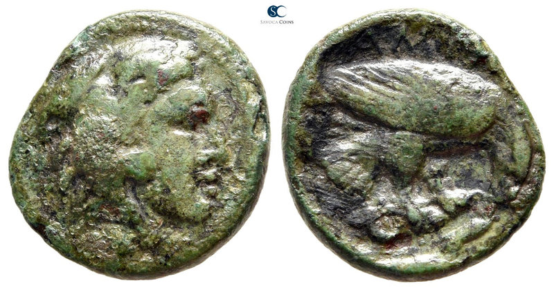 Kings of Macedon. Amyntas III 393-369 BC. 
Bronze Æ

17 mm., 3,46 g.



n...