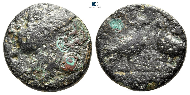 Macedon. Skione 400-350 BC. 
Bronze Æ

15 mm., 3,26 g.



nearly very fin...