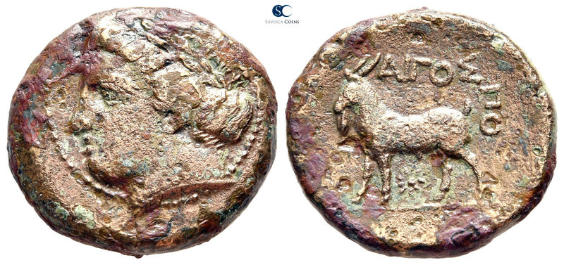 Thrace. Aigospotamoi 300 BC. 
Bronze Æ

22 mm., 7,77 g.



very fine