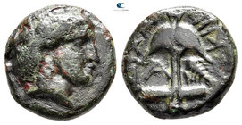 Thrace. Apollonia Pontica circa 400-300 BC. Bronze Æ