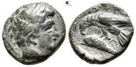 Moesia. Istrus circa 350-339 BC. Bronze Æ