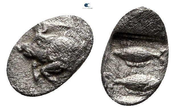 Mysia. Kyzikos 450-400 BC. 
Hemiobol AR

7 mm., 0,23 g.



very fine