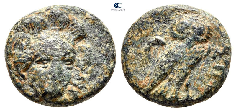 Troas. Sigeion 355-334 BC. 
Bronze Æ

12 mm., 1,92 g.



very fine