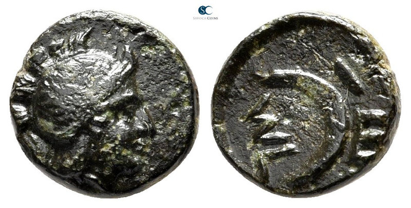 Troas. Sigeion circa 350 BC. 
Bronze Æ

9 mm., 1,09 g.



very fine