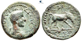 Troas. Alexandreia. Maximus, Caesar AD 236-238. Bronze Æ