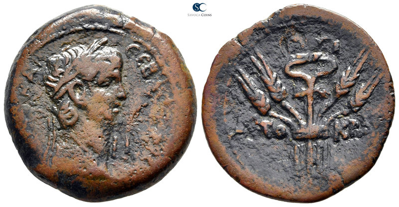 Egypt. Alexandria. Claudius AD 41-54. 
Diobol Æ

27 mm., 8,43 g.



very ...