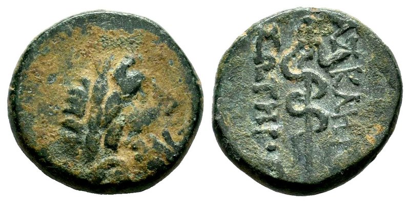 MYSIA, Pergamon. Ca. 200-113 B.C. AE.
Condition: Very Fine

Weight: 3,79 gr
...