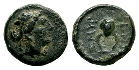 IONIA. Smyrna. Ae (Circa 245-240 BC). 
Condition: Very Fine

Weight: 1,31 gr
Diameter: 10,60 mm