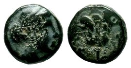 CARIA. Rhodes. Ae (Circa 350-300 BC).
Condition: Very Fine

Weight: 1,32 gr
Diameter: 9,95 mm