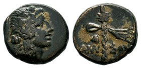 PONTOS. Amisos. Ae (Circa 125-100 BC). Time of Mithradates VI Eupator.
Condition: Very Fine

Weight: 4,44 gr
Diameter: 15,30 mm