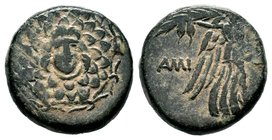 PONTOS. Amisos. Ae (Circa 125-100 BC). Time of Mithradates VI Eupator.
Condition: Very Fine

Weight: 8,29 gr
Diameter: 19,80 mm