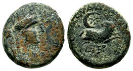 SELEUKIS & PIERIA. Seleukeia Pieria. Ae (1st century BC).
Condition: Very Fine

Weight: 6,36 gr
Diameter: 18,90 mm