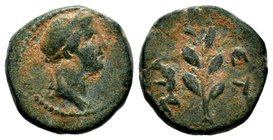 SELEUKIS & PIERIA. Seleukeia Pieria. Ae (1st century BC).
Condition: Very Fine

Weight: 4,47 gr
Diameter: 16,35 mm