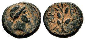 SELEUKIS & PIERIA. Seleukeia Pieria. Ae (1st century BC).
Condition: Very Fine

Weight: 4,44 gr
Diameter: 14,85 mm