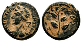 SELEUKIS & PIERIA. Seleukeia Pieria. Ae (1st century BC).
Condition: Very Fine

Weight: 3,01 gr
Diameter: 15,55 mm