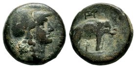 SELEUKIS & PIERIA. Seleukeia Pieria. Ae (1st century BC).
Condition: Very Fine

Weight: 8,88 gr
Diameter: 19,28 mm