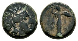 SELEUKIS & PIERIA. Seleukeia Pieria. Ae (1st century BC).
Condition: Very Fine

Weight: 6,86 gr
Diameter: 18,20 mm