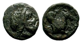 SELEUKIS & PIERIA. Seleukeia Pieria. Ae (1st century BC).
Condition: Very Fine

Weight: 1,47 gr
Diameter: 12,10 mm