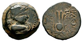 SELEUKIS & PIERIA. Seleukeia Pieria. Ae (1st century BC).
Condition: Very Fine

Weight: 5,33 gr
Diameter: 17,85 mm