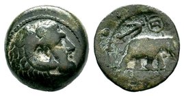 SELEUKIS & PIERIA. Seleukeia Pieria. Ae (1st century BC).
Condition: Very Fine

Weight: 8,40 gr
Diameter: 19,80 mm