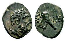 PONTOS. Amisos Ae (Circa 130-100 BC).
Condition: Very Fine

Weight: 1,38 gr
Diameter: 13,40 mm