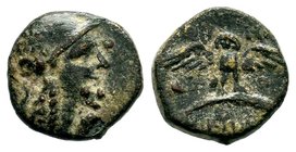Apameia AE, c. 88-40 BC
Condition: Very Fine

Weight: 2,82 gr
Diameter: 14,50 mm