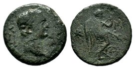 CILICIA. Domitian (Caesar, 69-81). Ae
Condition: Very Fine

Weight: 3,12 gr
Diameter: 12,00 mm