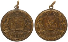 Lithuanian Medal for Regaining Klaip?da (Memel) 1923