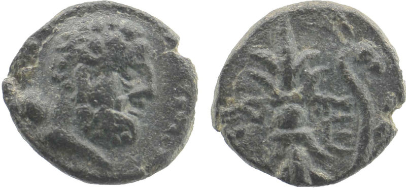 Pisidia, Selge AE . Circa 2nd-1st Century BC. 
Laureate head of Herakles right, ...