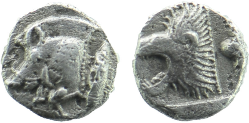 Mysia. Kyzikos 480 BC. Obol AR 
Forepart of boar left, tunny upward to right / H...