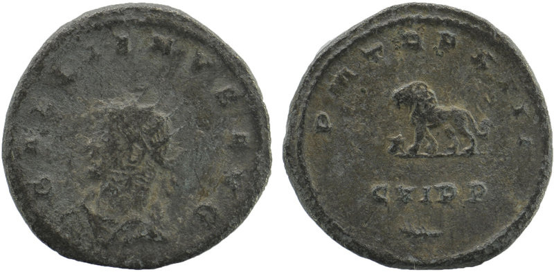 Gallienus BI Antoninianus. Antioch, AD 264-265. 
Radiate head left 
Rev: Lion st...