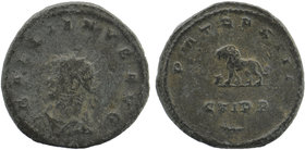 Gallienus BI Antoninianus. Antioch, AD 264-265. 
Radiate head left 
Rev: Lion standing left, bucranium before; CVIPP and palm in exergue. 
RIC V 602 v...