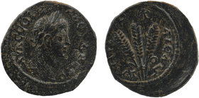 CAPPADOCIA. Caesarea. Severus Alexander (222-235) Ae.
Laureate head right.
Bundle of three corn ears.
BMC 305-6.
5,63 gr. 23 mm