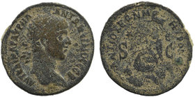 Syria, Seleucis and Pieria - Elagabalus (AD 218-222), Antiochia ad Orontem, AE
Laureate and draped bust right. 
Rev:Tyche seated left on rocks, holdin...