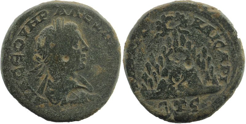 Cappadocia, Caesarea. Severus Alexander. A.D. 222-235. AE
laureate, draped and c...