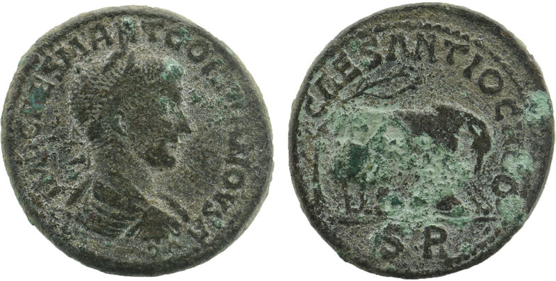 PISIDIA. Antiochia.Gordian III (238-244)AE.
Obv: IMP CAES M ANT GORDIANVS AVG. 
...