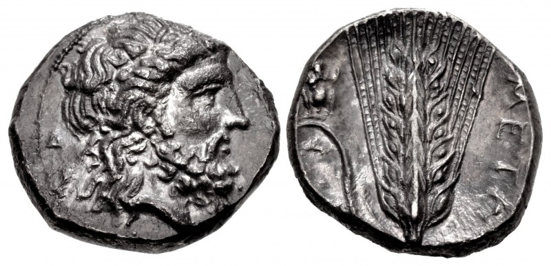 LUCANIA, Metapontion. Circa 340-330 BC. AR Nomos (20mm, 7.69 g, 5h). Head of Zeu...